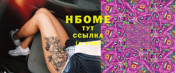 apvp Бородино