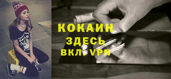 apvp Бородино