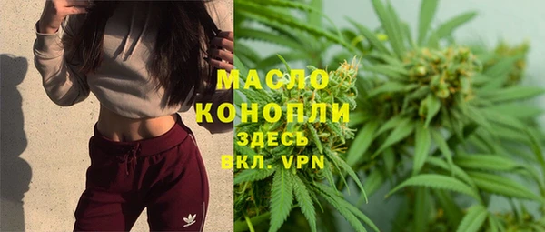 apvp Бородино